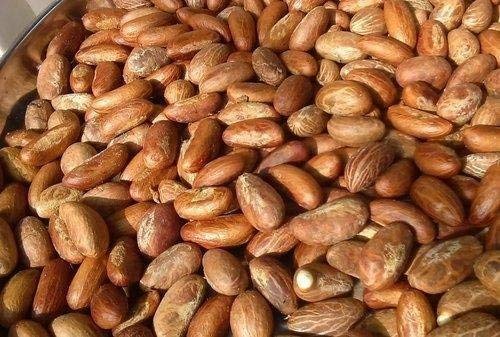 Product image - We are ready to Export Bitter kola seeds from Nigeria. Raw Grade A Bitter kola is available used as health stimulant and dietary supplement or for production of drugs by pharmaceutical indistries. Specifications: Moisture: 12%max; Crude protein:Nx6.25%; Ash:2.55%; Crude Fibre:2,18%;Caffeine:1.5%; Imperfect:3%max; Visible mould,Alatoxine & Salmonella- none; 100% organic.Price, Payment terms & methods negotiable.