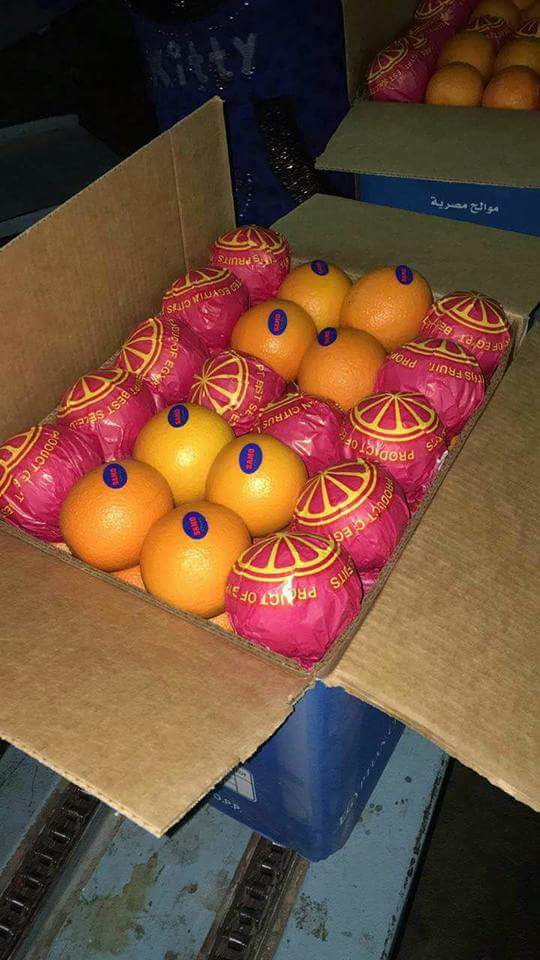 Product image - Valencia orange first class, carton 15 kg sizes from 56 to 88