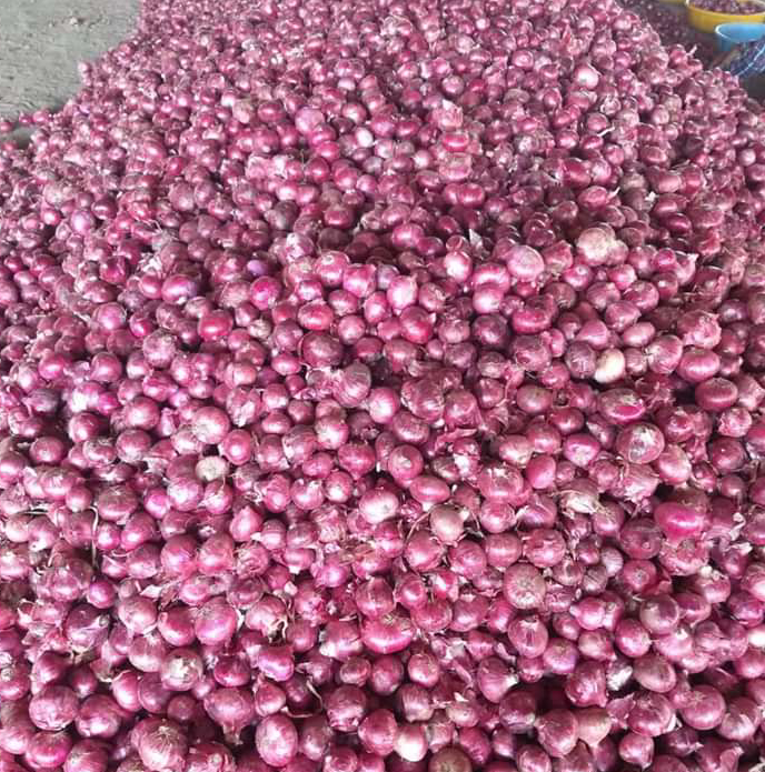 Product image - I am a supplier of quality red onion. Please contact me for supply.