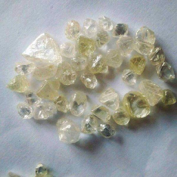 Product image - 1385.19 Carats of Rough Diamonds for sale 