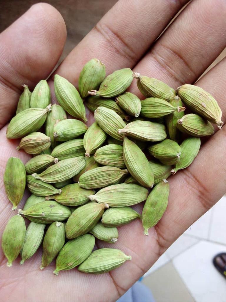Product image - Harvested from the East Usambara Mountains, Green cardamom are essential spices to bring good food aroma and has medicinal effects. 7-8mm in size, hot air dried