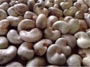 Product image - Raw cashew nut grown in Nigeria, consists of two distinct parts, a fleshly stalk in form of a pear, also called cashew apple, and a nut of grey- brownish color, in the shape of a kidney which hangs from the lower end of the stalk or apple.