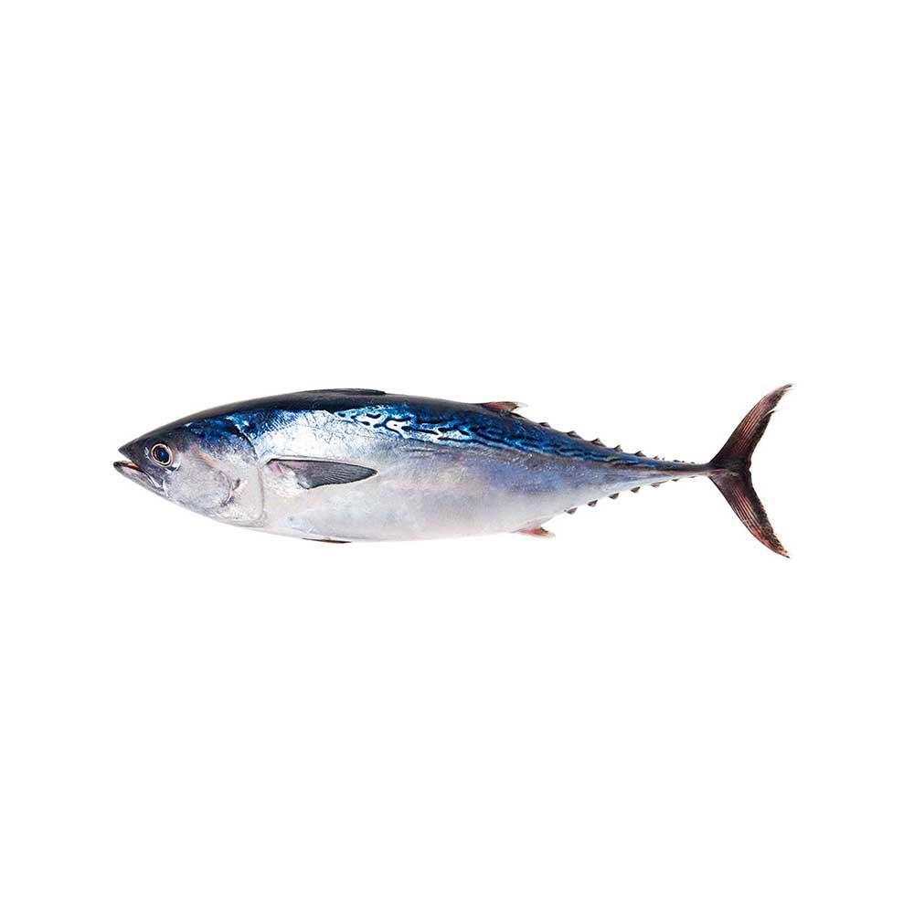 Product image - Somali tuna fish