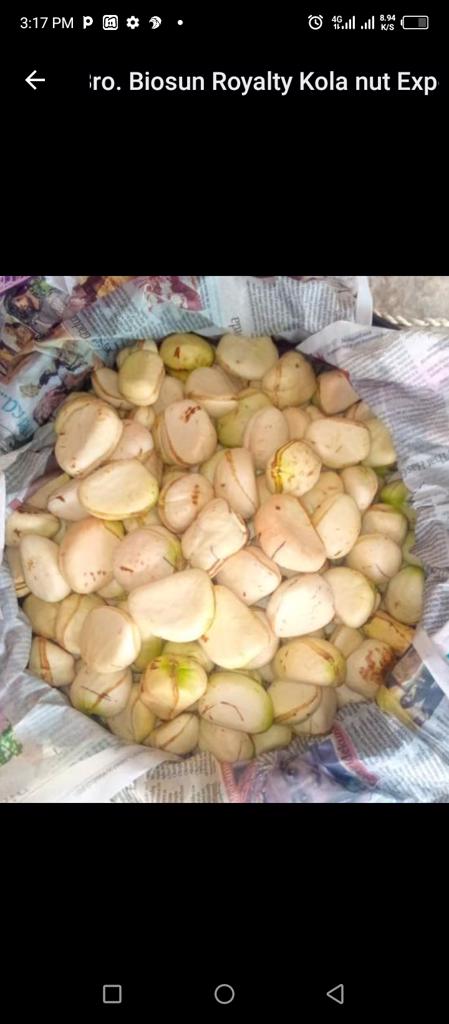 Product image - We are suppliers of  organic kola nuts ( White and red) and other nuts.. we supply to any part of the world where our services are needed 
