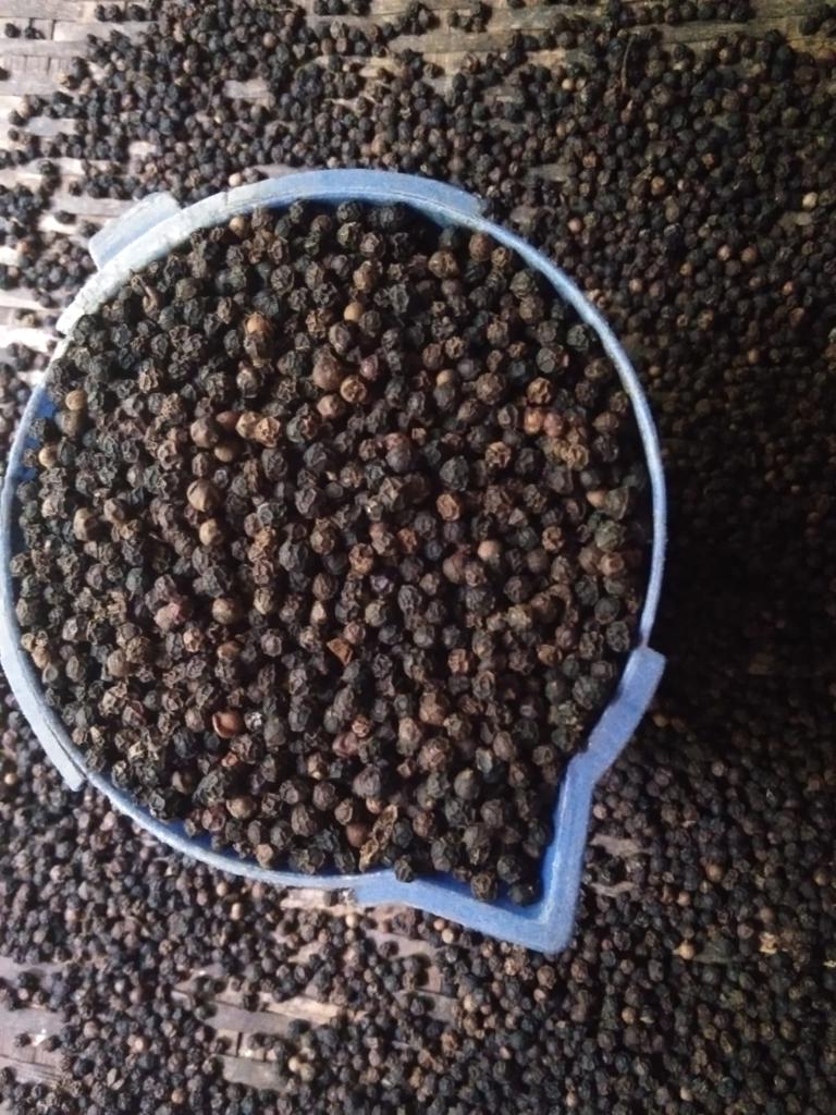 Product image - Our SVM Exports are dedicated to presenting an extensive assortment of Black Pepper. It is used in many dishes and also it is used for medical purposes. Our offering black pepper can be used for a long time and gives full satisfaction to clients. It is widely demanded in homes, hotels and restaurants for adding mesmerizing taste in dishes                                                                                