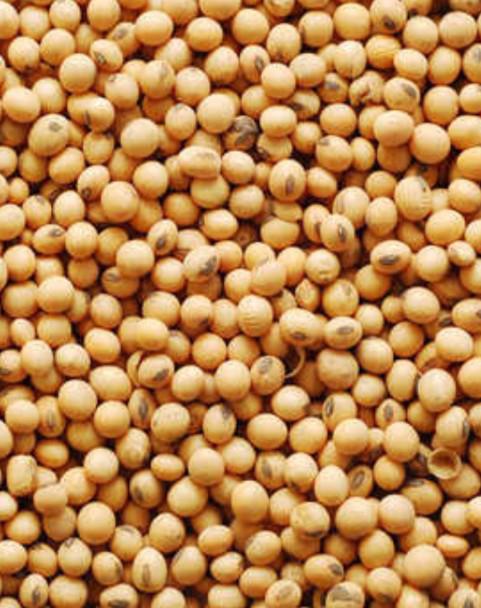 Product image - We have soybeans from Malawi ready for export.
