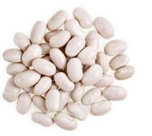 Product image - I am an exporter/broker of grains and pulses since 2011 based in Johannesburg, South Africa. I sell beans such as red kidney beans, red speckled beans, soya beans, small white beans, cowpeas as well as rice. I also outsource proudly South African products including wine and other agricultural products.  I also supply bottled water on request.