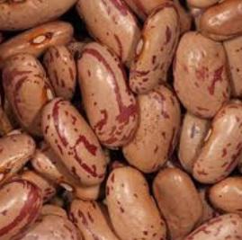 Product image - I am an exporter/broker of grains and pulses since 2011 based in Johannesburg, South Africa. I sell beans such as red kidney beans, red speckled beans, soya beans, small white beans, cowpeas as well as rice. I also outsource proudly South African products including wine and other agricultural products.  I also supply bottled water on request.