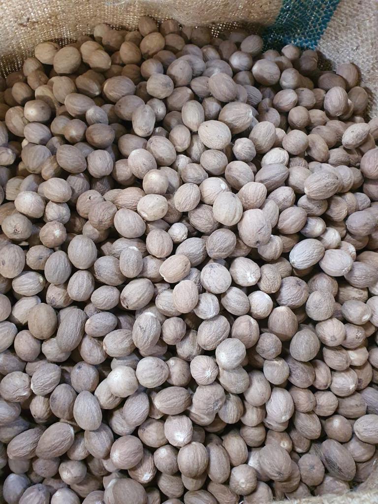 Product image - Best quality nutmeg from Indonesia, bulk packing. European standard. TDS and Sample are available upon request.