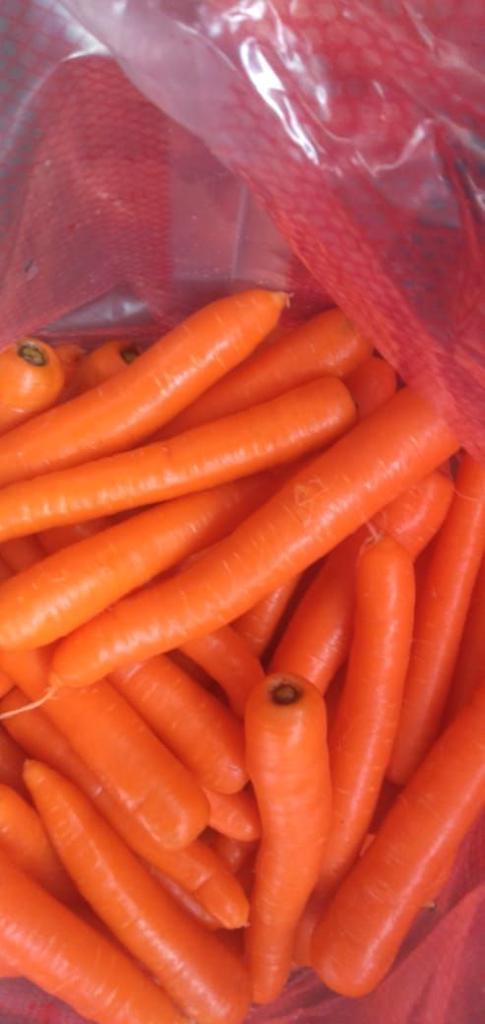 Product image - We offer you  fresh carrots available now for any inquiries please contact me 
Best Regards
Merna Hesham
Tel: 0020402544299    Cell(whats-app) 00201093042965     email: alshamsexporting@yahoo.com