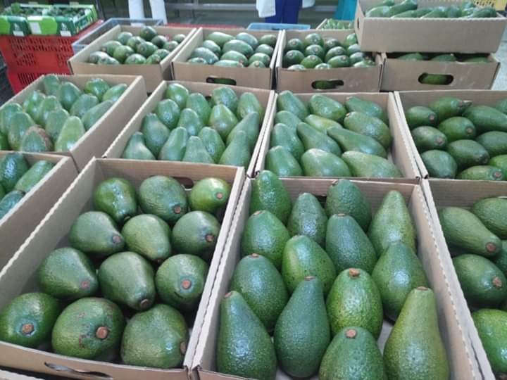Product image - Fresh Fuerte avocado from Kenya available on sale. 

MOQ: 100 tons
Packaging: cardboard boxes (12 - 24 pieces in a box)
Certificate: Global GAP. 
For export, only. 

Contact OTI Sales Department for more info. 

#FuerteAvocado
#GlobalGapFuerteAvocado