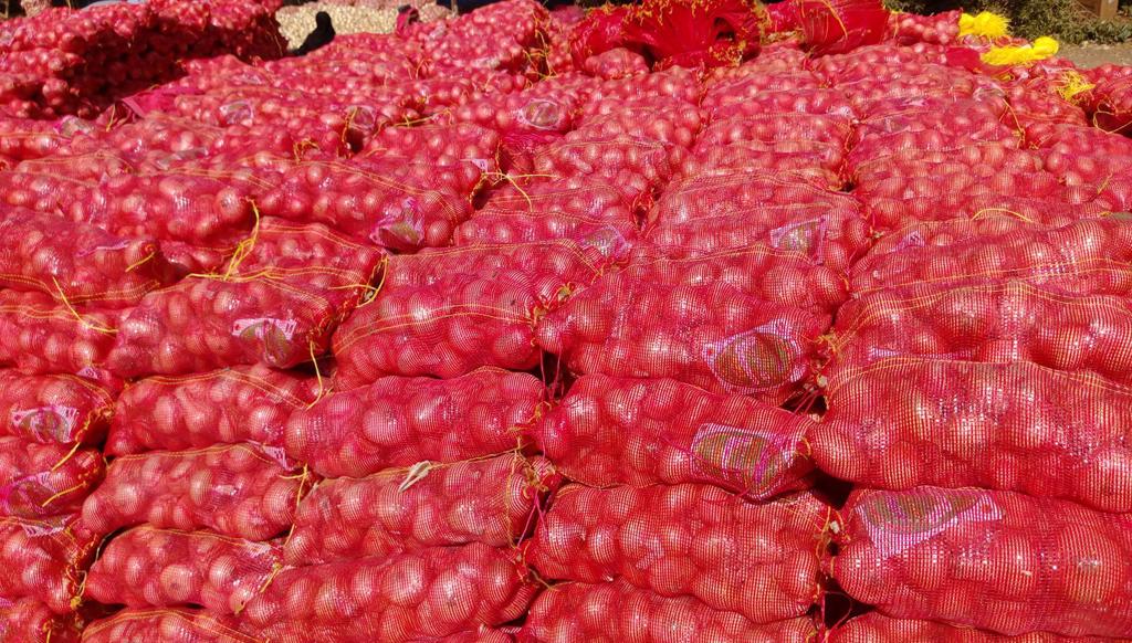 Product image -  Green Point Company  have all kind of  Fresh Fruits and Fresh Vegetables with good quality, good price and good delivery. Varieties: 
 Red Onion Sizes: 50-70/60-80/80-100 and up 
Yellow Onion [Golden onion] Sizes: 50-70/60-80/80-100 and up.

Packing : 25 kg mesh pages

 Price: Very Competitive Price​
 Delivery Terms: FOB, CNF, CIF 
Delivery Time: 7 days after receiving the advance
Email : nehal.greenpoint@gmail.com
