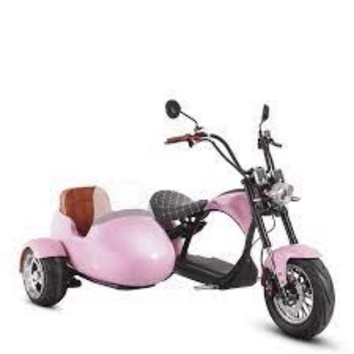 Product image - Product Description
Let your family join this a smooth and exciting ride with our street law scooter! 2000W M1P and luxurious sidecar - Designed for comfort and safety, the sidecar integrated shock absorbers, seatbelts, a windshield – not to mention plenty of interior space. Your little one or pet will definitely love it. Feeling the the wind on their skin as they embark on comfortable, exciting trips.

Let your fami