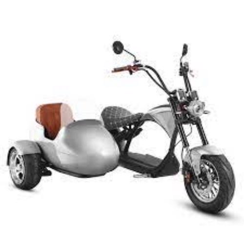 Product image - Product Description
Let your family join this a smooth and exciting ride with our street law scooter! 2000W M1P and luxurious sidecar - Designed for comfort and safety, the sidecar integrated shock absorbers, seatbelts, a windshield – not to mention plenty of interior space. Your little one or pet will definitely love it. Feeling the the wind on their skin as they embark on comfortable, exciting trips.

Delivered wit