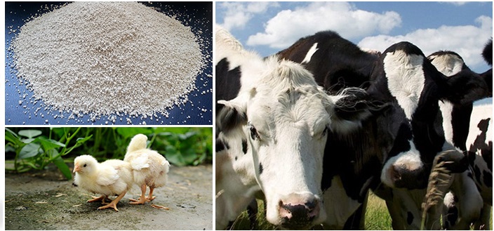 Product image - used in Animals feed -poultry feed