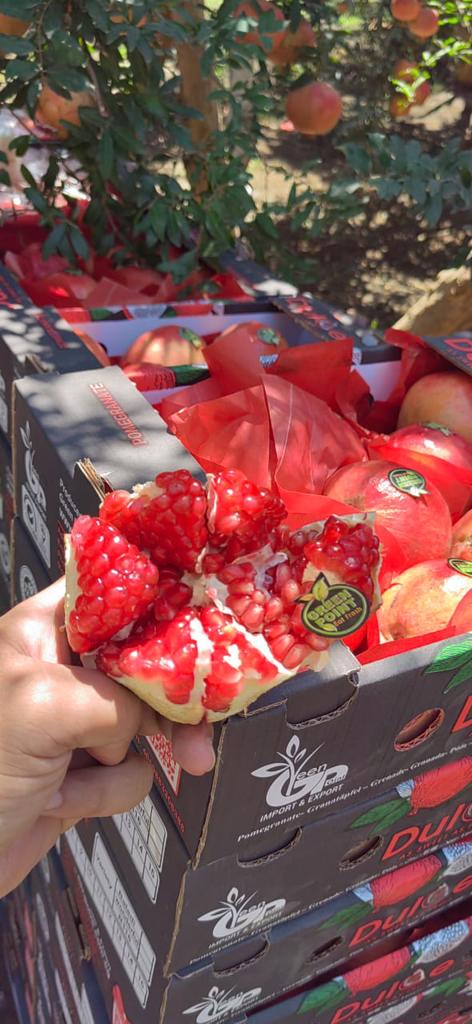 Product image - For Fresh Pomegranate :
Origin: Egypt
Color : red
Varieties: wonderful, baladi, early 116
Sizes : 8,9,10,11,12,13,14
Packing :5 kg carton ,5 KG plastic box
Brand: Dulce
Standards: Grade a premium

Delivery time: 7-10 days from date of receive the payment
Deivery time : 7 days after confirming the order

For more information kindly contact :

Email : nehal.greenpoint@gmail.com
whatsapp: 0001142819900