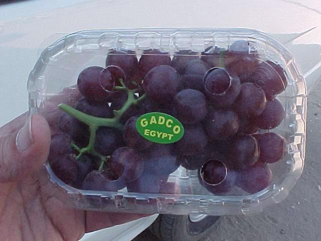 Product image - Red seedless crimson grapes, packing 5.5 kg net cartons ( 11x550 grams )