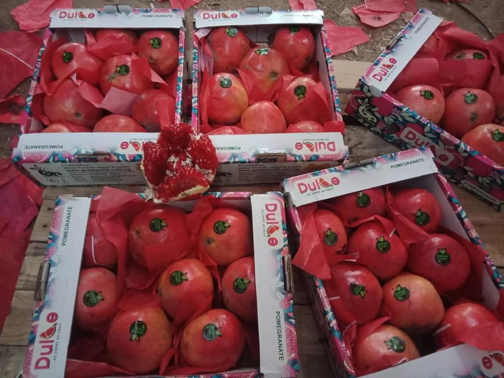 Product image - For Fresh Pomegranate :
Origin : Egypt 
Color : Red
Brand: Dulce
Varieties: wonderful, baladi, early 116
Sizes : 8,9,10,11,12,13,14
Packing :4.5 kg carton ,5 KG plastic box
Brand: Dulce
Standards: Grade a premium

Delivery time: 7-10 days from date of receive the payment

Prices: Very Competitive price .
Delivery time : 7 days after confirming the order
Email : nehal.greenpoint@gmail.com
whatsapp: 002 01142819900