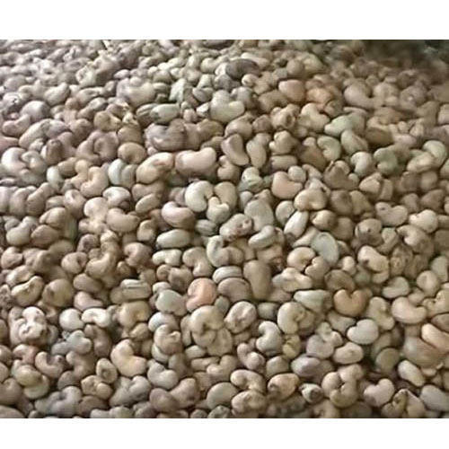 Product image - We have raw cashew nuts 2020 crop and very high quality , Benin Origin , interested buyers should contact for more details and price.