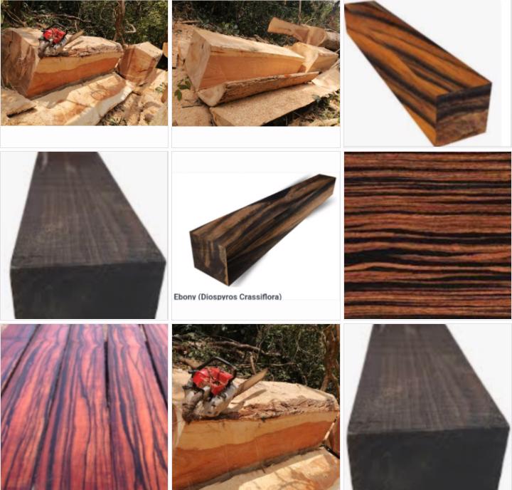 Product image - We exporters of Hardwood Square Logs and Sawn Timbers are looking for genuine buyers of our hardwood logs and Sawn Timbers like African Black  Black Ebony) -Dalbergia Melanoxylon, Ebony - Diospyros Crassifilora Mespiliformis, Pachyloba Doussie,  Bubinga, Amazonia - Pau Rosa etc. Size: 60cm - 130cm x 280cm. Timbers: 40mm - 60mm x 150mm - 300mm x 2700mm - 2800mm