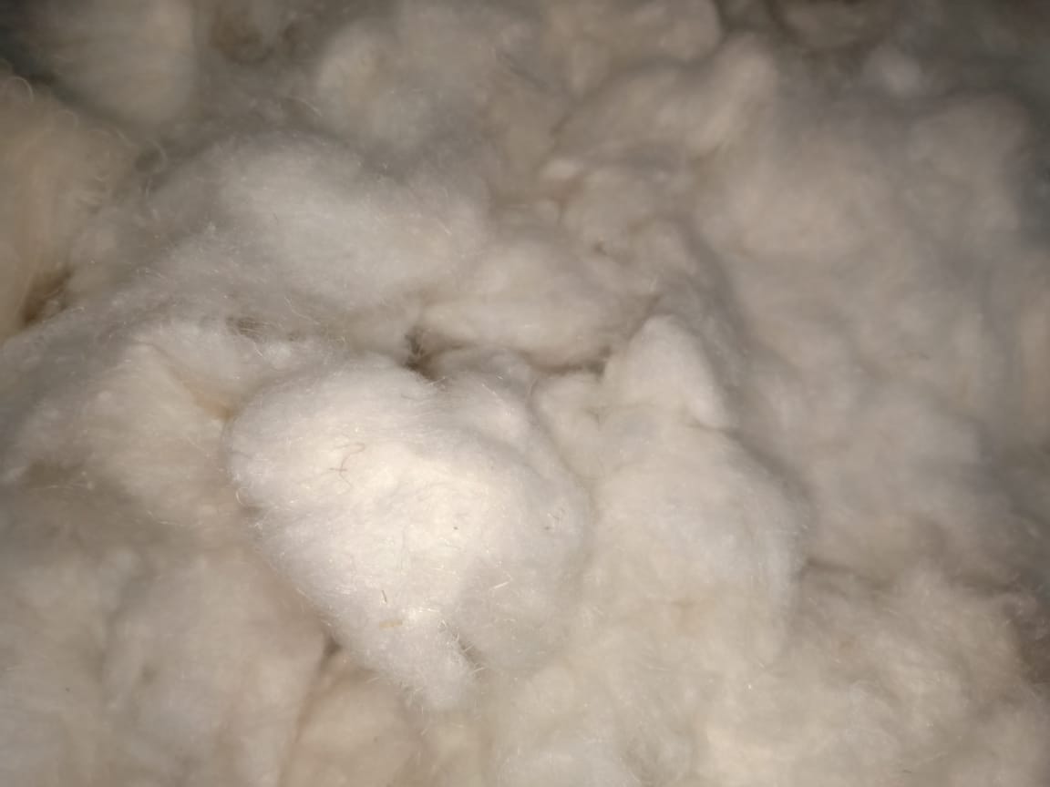 Product image - 
it's suitable for variety to mixing with cotton/viscose, Also It is very easy to mixed with Polyester , Also it can be dyeing easy with any other natural fiber , but in case any synthetic fiber it must be dyeing alone before mixing.
There are 3 types :
- Natural colour can produce yarn until no.15ne
- Washed can produce yarn until no.30ne 
- Washed & Bleached also can produce yarn until no.30ne and more.