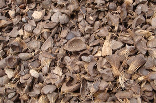 Product image - Palm kernel shells contain residues of Palm Oil, which accounts for its slightly higher heating value than average lignocellulosic biomass. Compared to other residues from the industry, it is a good quality biomass fuel with uniform size distribution, easy handling, easy crushing, and limited biological activity due to low moisture content. 