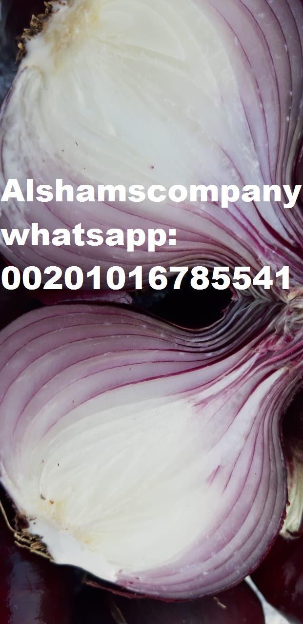 Product image - We are ALshams for general import and export. Now, We would like to offer our red onions • 40 up • Class 1 25 kg in bag or depended on the order, I hope our offer meet your satisfaction For more information please contact me Mrs.Donia mostafa Sales dep Cell (viber & whats-app) 00201016785541 Alshams.info@yahoo.com
