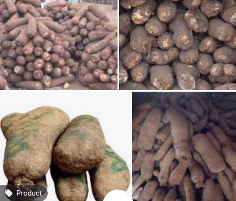 Product image - Fine tubers of yam, high quality white and brown beans....based on your orders.