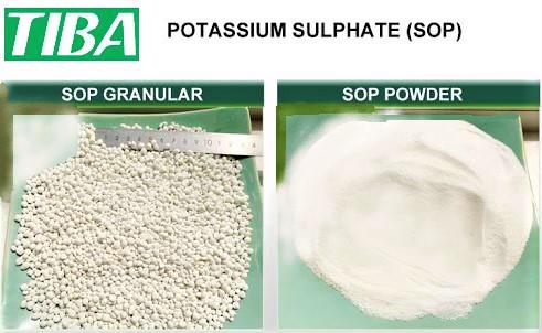 Product image - High quality potassium sulfate fertilizer powder and granular fully water-soluble and low chloride and salt index 