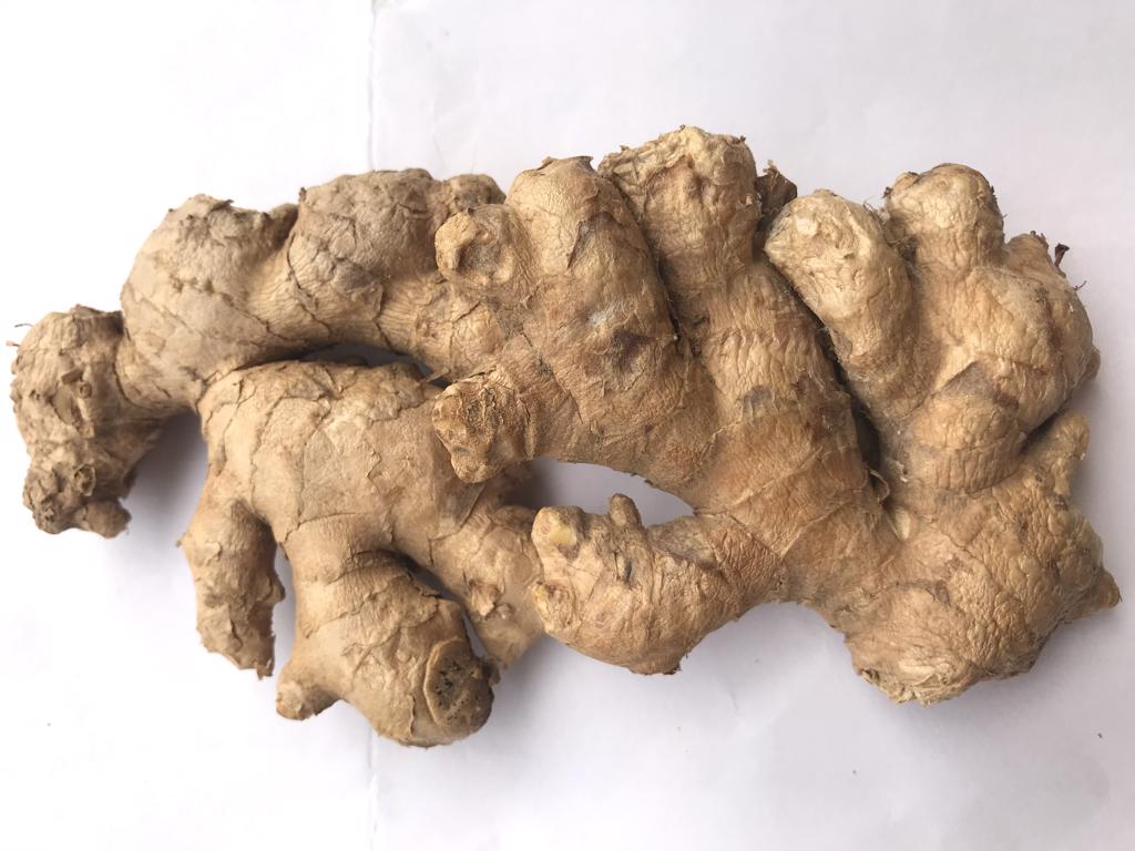Product image - Ginger, a rhizome plant that is been widely and commonly used by people of different race, culture and economic status for different purposes, either as a medicine, spice for cooking, mashed into drinks etc. Ginger has been listed as a culinary recipe in both orthodox and modern-day cooking. The Nigerian ginger is highly regarded in the international market for its Aroma, purgency, high oil and Aleoresin content.