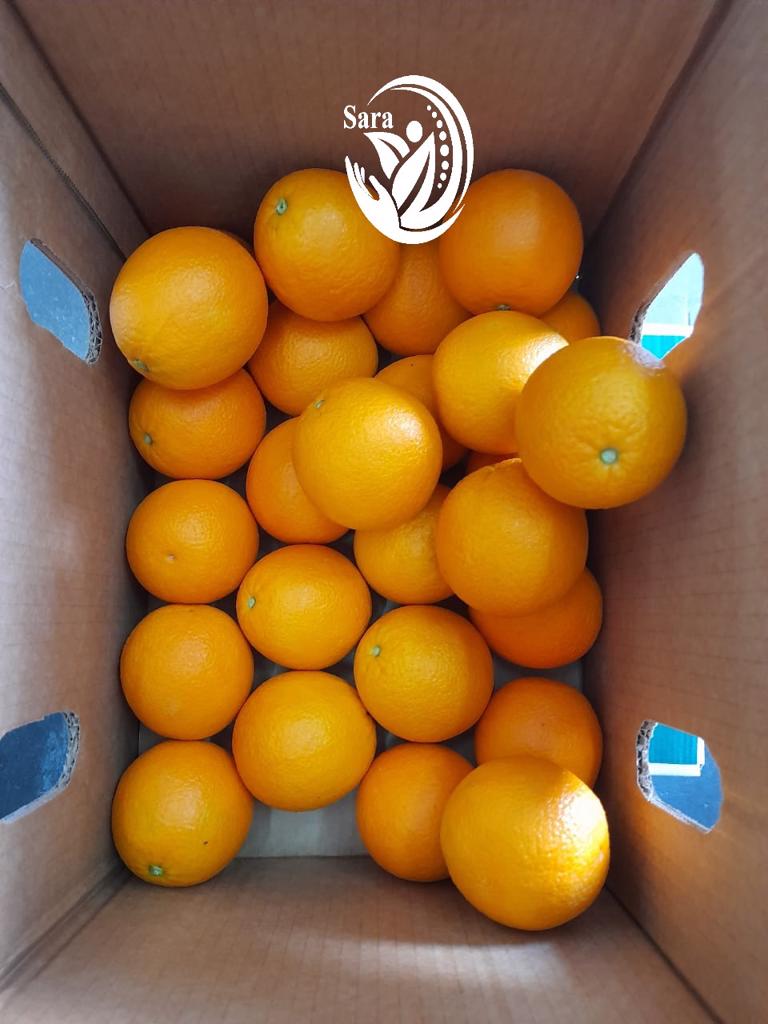 Product image - Egyptian valencia orange packing 15kg carton telescopic or open ton or plastic box containers 40 feet 25 ton 1680 carton sizes 48 56 64 72 80 88 100 113