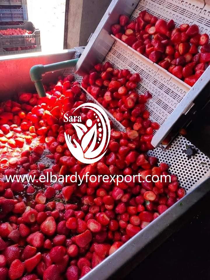 Product image - Frozen strawberry 🍓 iqf global gap certified Bestisids residuals regard European standards PPacking25 bags or 10kg carton inside it pp bags shelf life 18 month production march 2021 available  quantity 2000 ton