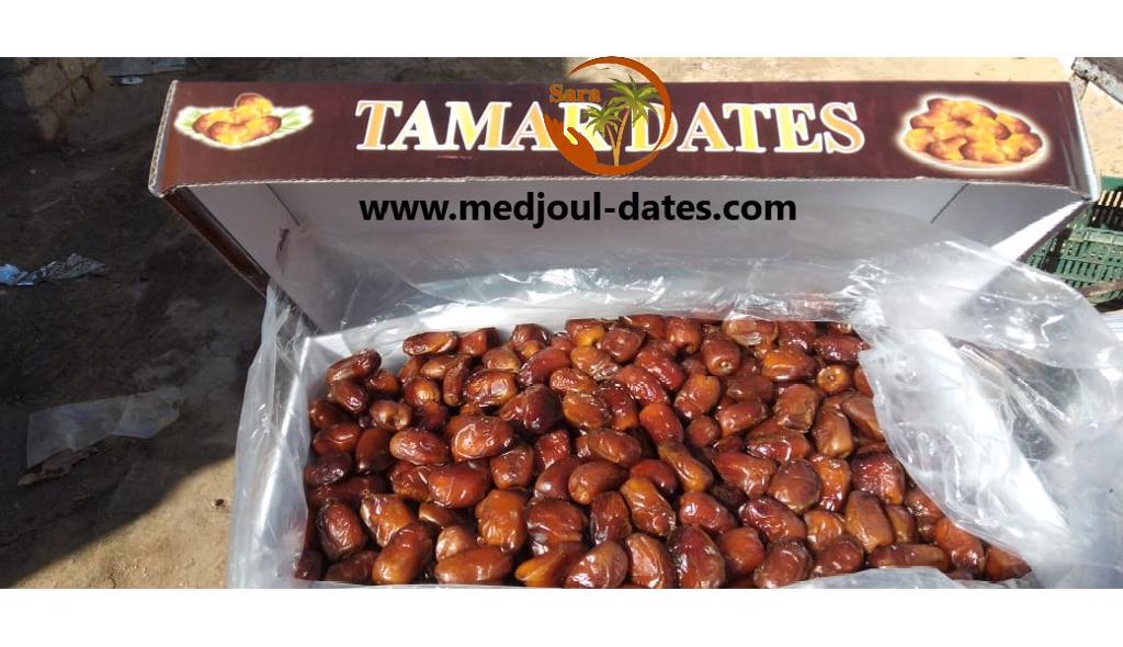 Product image - Egyptian  oasis semi dry date fruit high quality washed and dried dates our farm products in oasis cities 1000 ton available packing 5kg or 10kg 