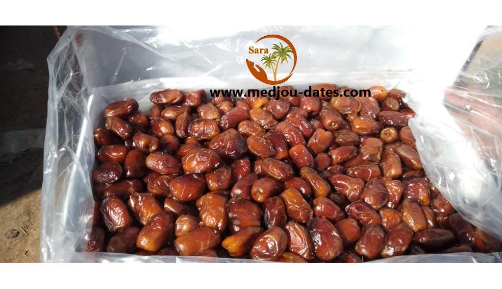 Product image - Egyptian  oasis semi dry date fruit high quality washed and dried dates our farm products in oasis cities 1000 ton available packing 5kg or 10kg 