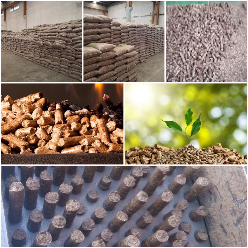 Product image -                                                                    DRYING AND PELLETING SYSTEMS
                                                                 ENERGY SOURCE OF THE FUTURE PELLET
Pellet fuel; It is referred to as small fuel particles that are used to obtain the energy produced by grinding all kinds of wood, wood waste and forest residues by pressing and dusting them with high pressure after grinding.
