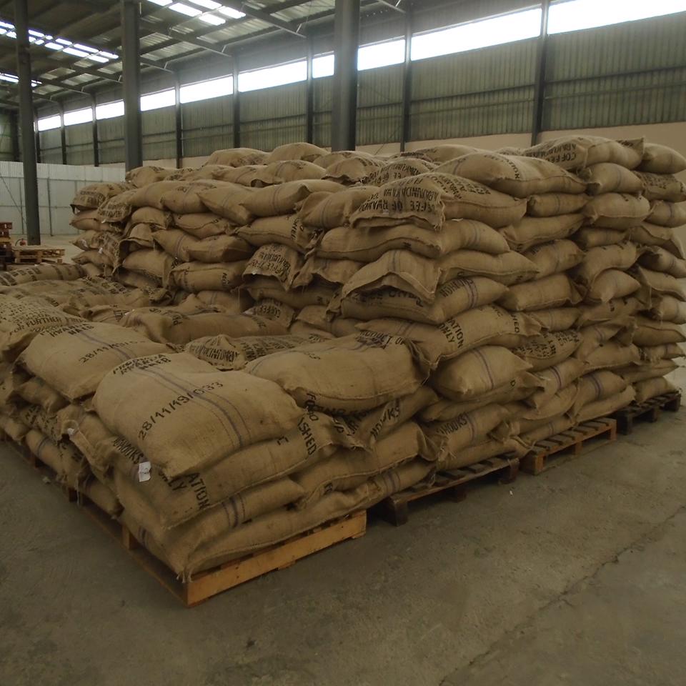 Product image - Arabica coffee beans. I have capacity to supply both green and roasted coffee beans. MOQ is 1,000 kilograms 