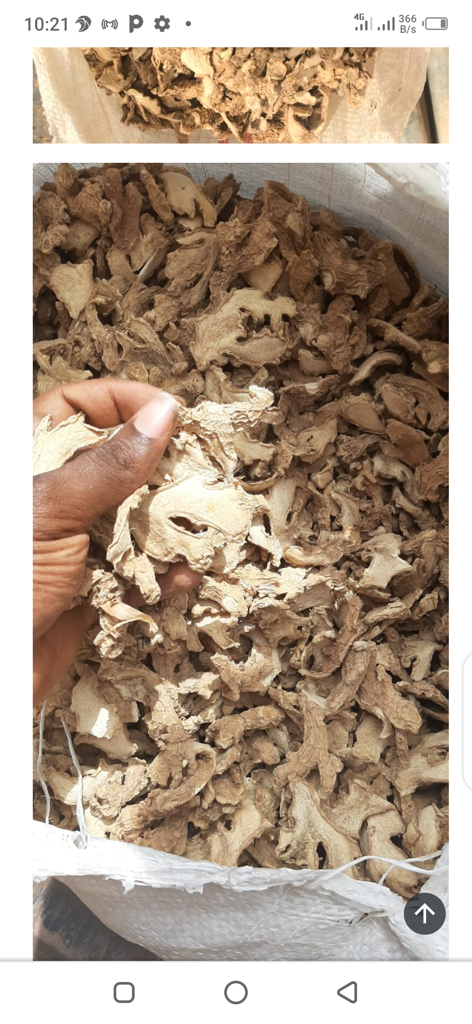 Product image - Fresh/Dried split Ginger America Standard (Asta) and powdered.