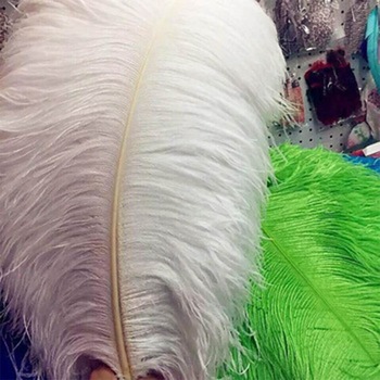 Product image - Name	Natural Large Ostrich Feathers
Process	Bleached and Dyed Feathers
Size	15-80cm available/75-80cm the largest size
Color	Could be Customized
MOQ	100 pieces / Color
Application	For Wedding Centerpiece, Party Decor,Carnival Costumes
Delivery time	Within 7 working days after payment confirmed
Package 	Opp bag inside, export box outside.