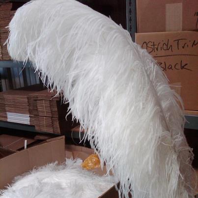 Product image - Name	Natural Large Ostrich Feathers
Process	Bleached and Dyed Feathers
Size	15-80cm available/75-80cm the largest size
Color	Could be Customized
MOQ	100 pieces / Color
Application	For Wedding Centerpiece, Party Decor,Carnival Costumes
Delivery time	Within 7 working days after payment confirmed
Package 	Opp bag inside, export box outside.