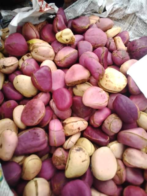 Product image - We can supply red kolanuts, white kola, tiger nuts, ogbono seed Mellon seed, other agricultural product to any country. Buyer's should contact via +2348032849901 for immidiate response
