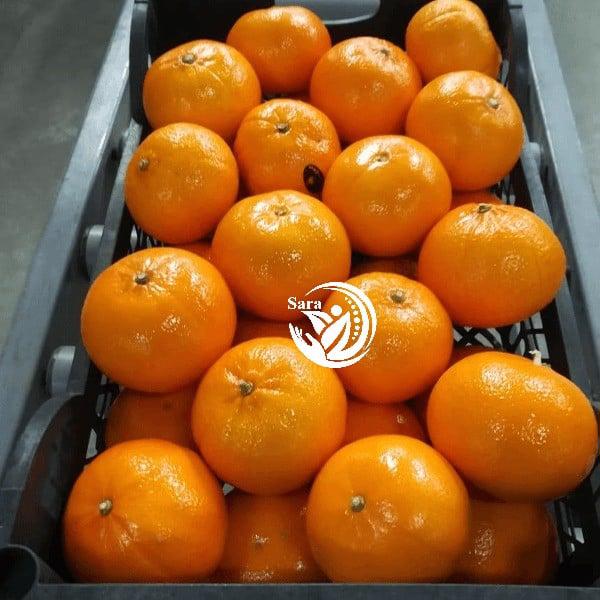 Product image - Export ferment mandarin and calamintina mandarin also Murkot mandarin 
