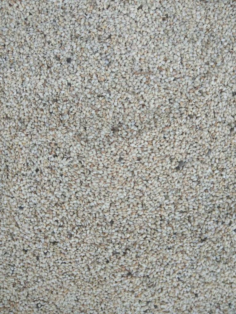 Product image - Ethiopian origin(Humera type) sesame seeds