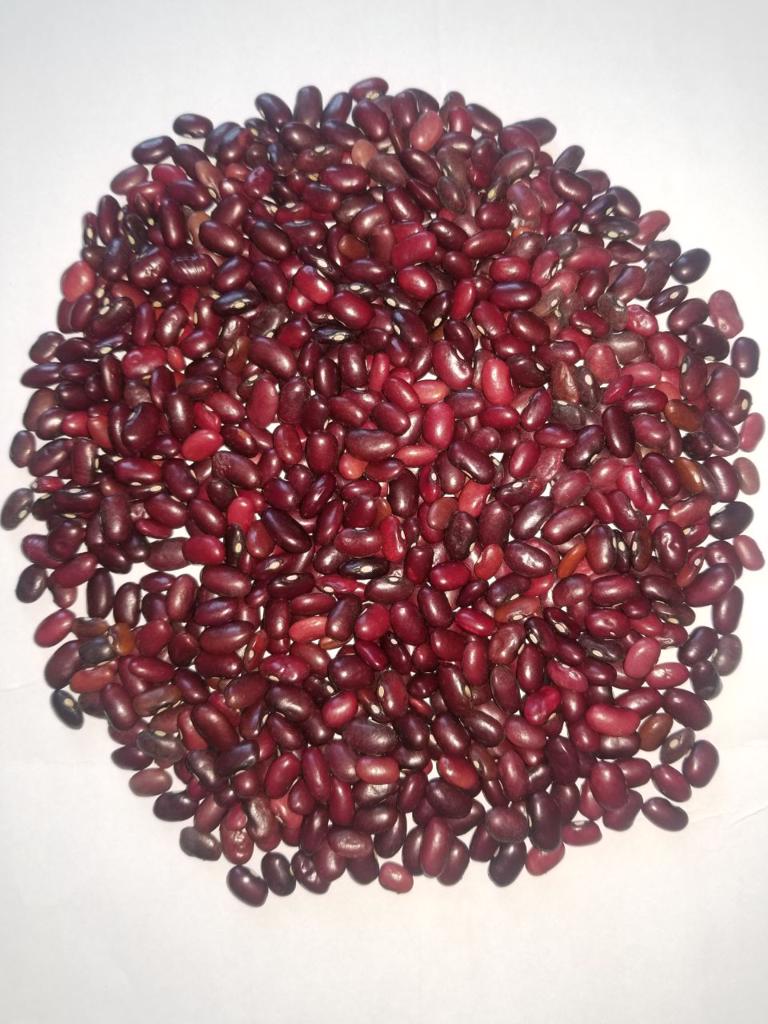 Product image - Red kidney bean ethiopia origin type south 