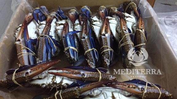 Public product photo - Frozen blue swimming crab different processes