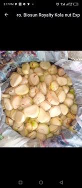 Public product photo - We are suppliers of  organic kola nuts ( White and red) and other nuts.. we supply to any part of the world where our services are needed 