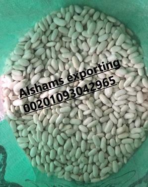 Public product photo - To ensure that you get the best quality and the best price, you have to deal with Alshams company.
We are  alshams an import and export company that offer all kinds of agriculture crops.
We offer you White kidney beans 
Best Regards
Merna Hesham
Cell(whats-app) 00201093042965                                                                                                                                               