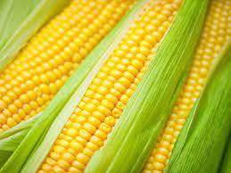 Public product photo - We offer high quality food grade corn starch for both consumption and animal feed. TDS and Sample are available upon request,