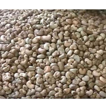 Public product photo - We have raw cashew nuts 2020 crop and very high quality , Benin Origin , interested buyers should contact for more details and price.