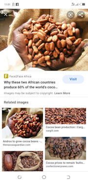Public product photo - These products can actually be used in production of other things like that of cocoa, it can be used for production chocolate.