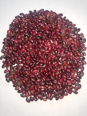 Public product photo - Red kidney bean ethiopia origin type south 